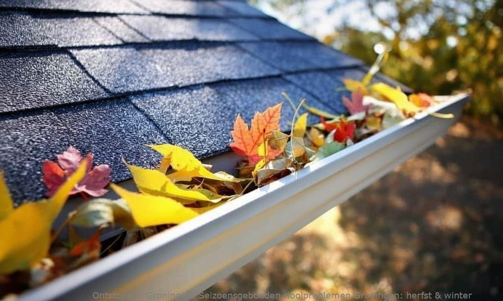 Seizoensgebonden rioolproblemen Groningen: herfst & winter